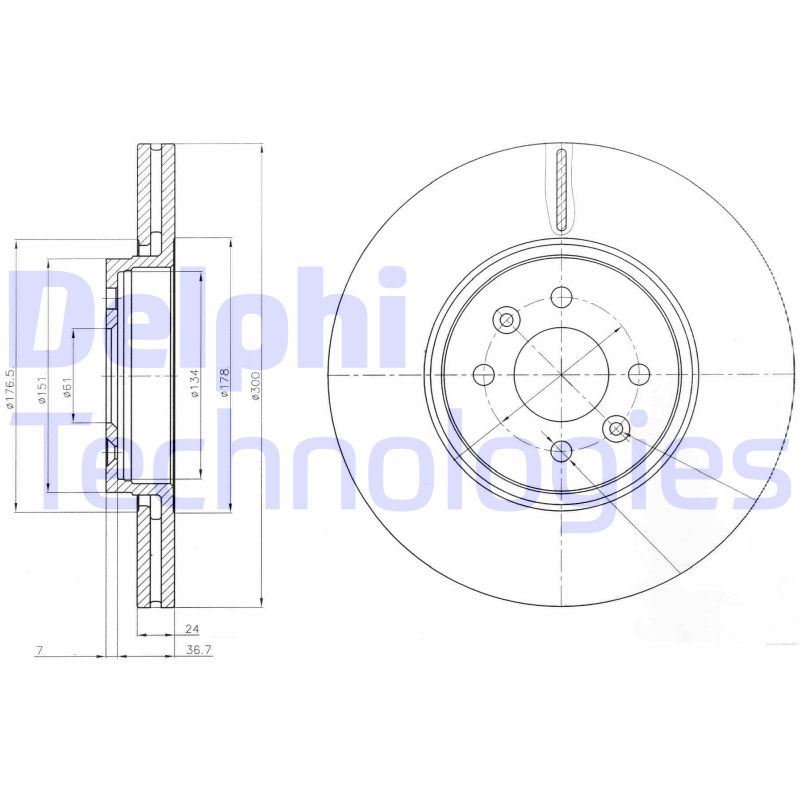 Delphi Diesel Remschijven BG3929