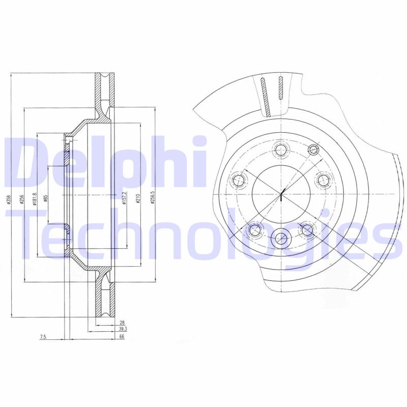 Delphi Diesel Remschijven BG4070