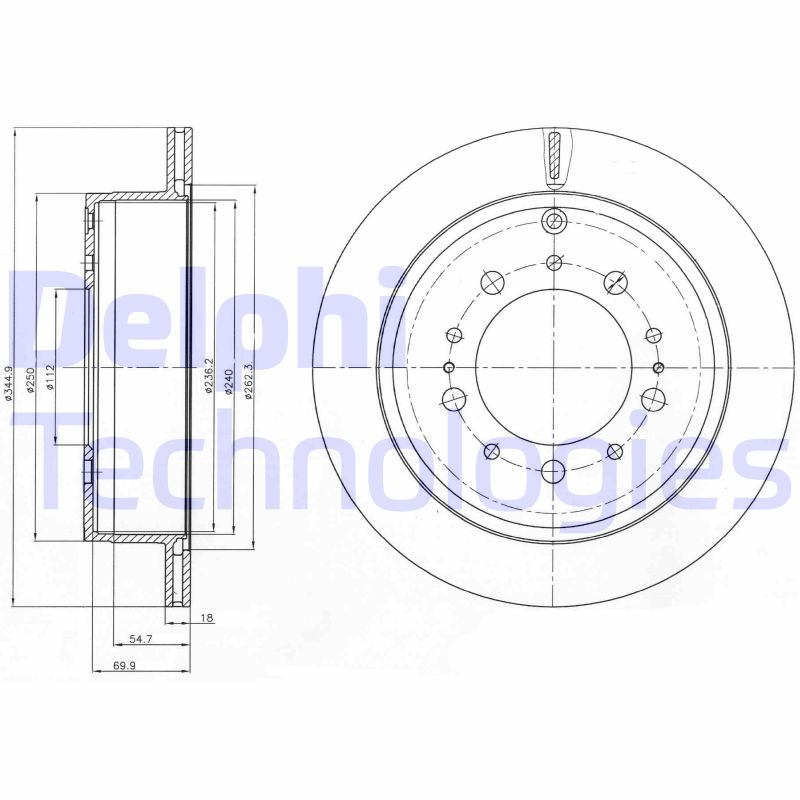 Delphi Diesel Remschijven BG4275