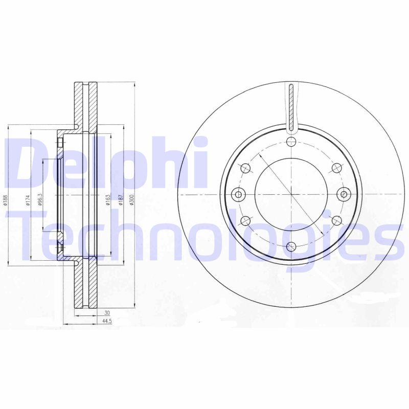 Delphi Diesel Remschijven BG4296