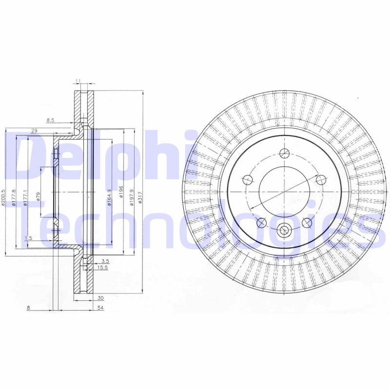 Delphi Diesel Remschijven BG9006C