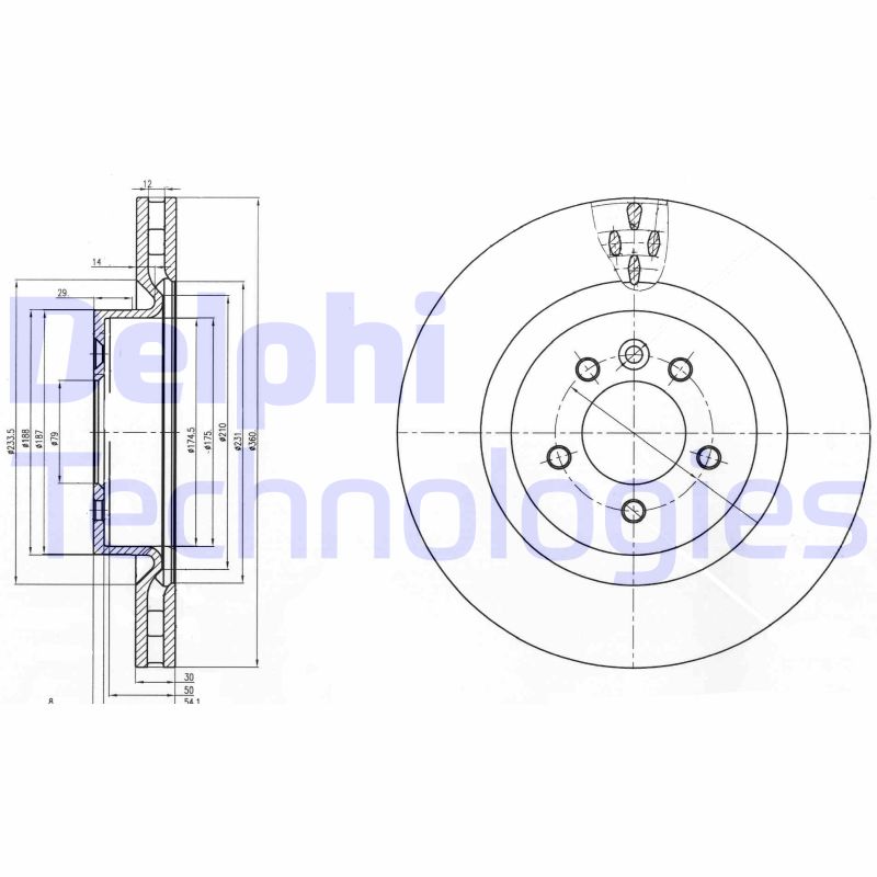 Delphi Diesel Remschijven BG9007C