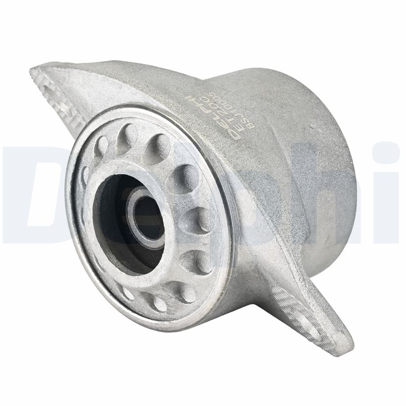 Delphi Diesel Veerpootlager & rubber BSJ10005