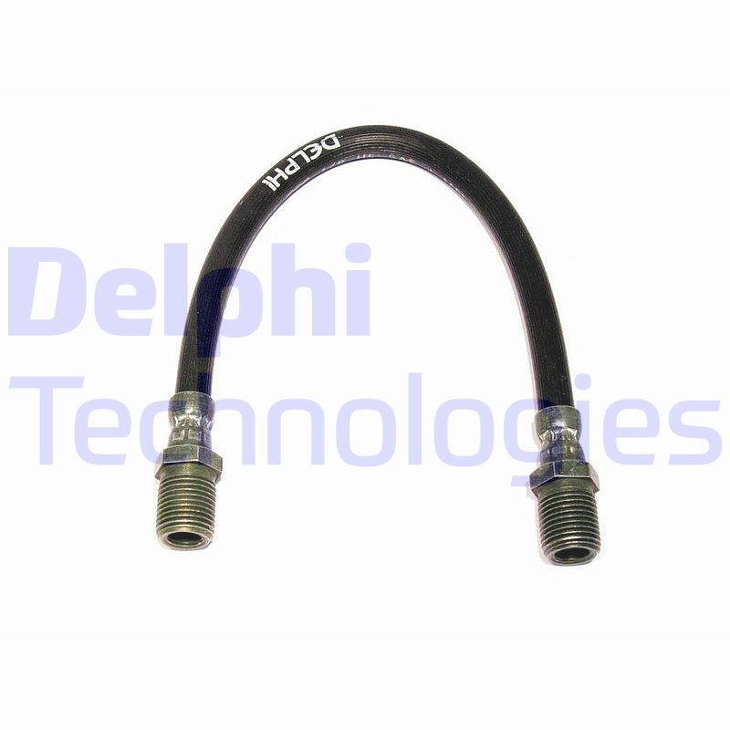 Delphi Diesel Remslang LH0141