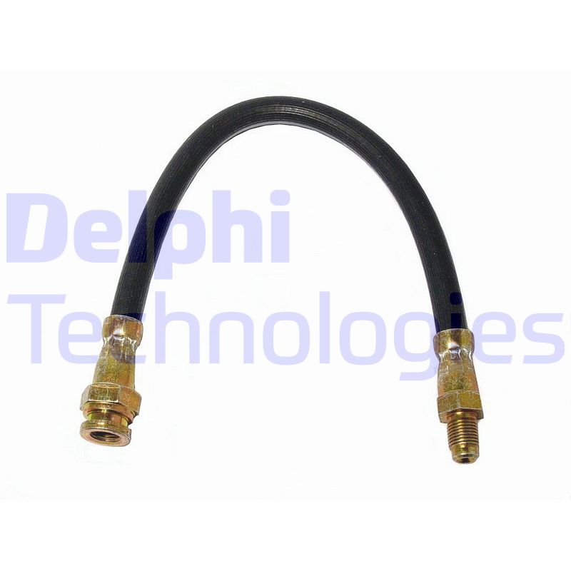 Delphi Diesel Remslang LH0146