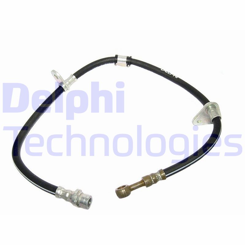 Delphi Diesel Remslang LH0171