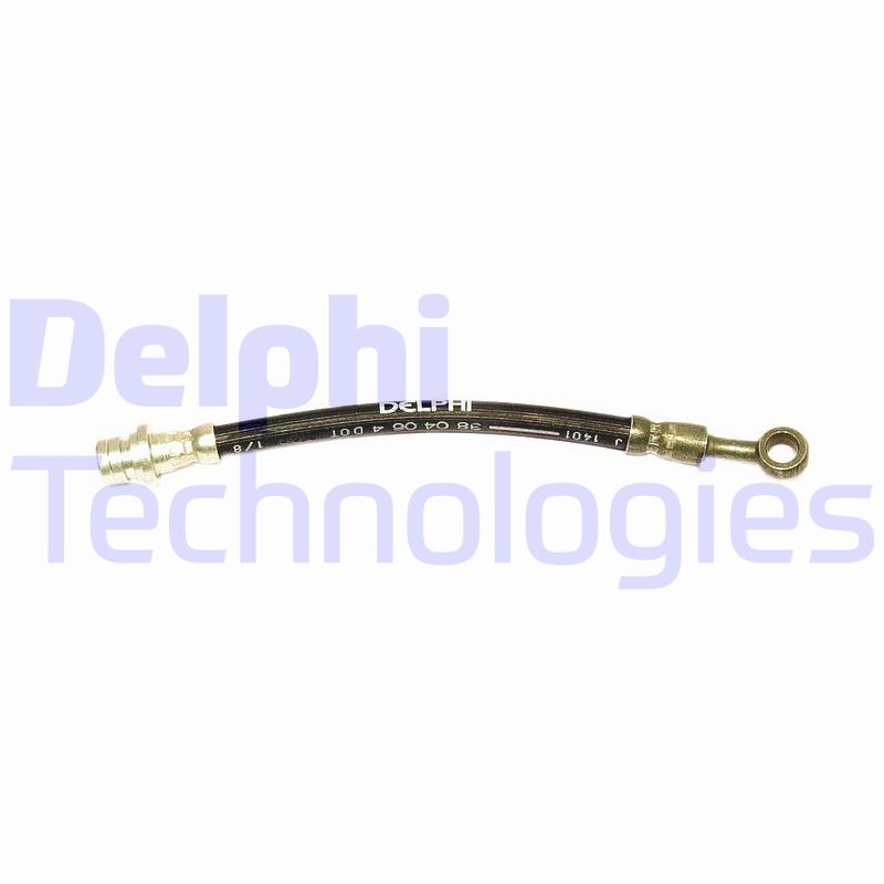 Delphi Diesel Remslang LH0174