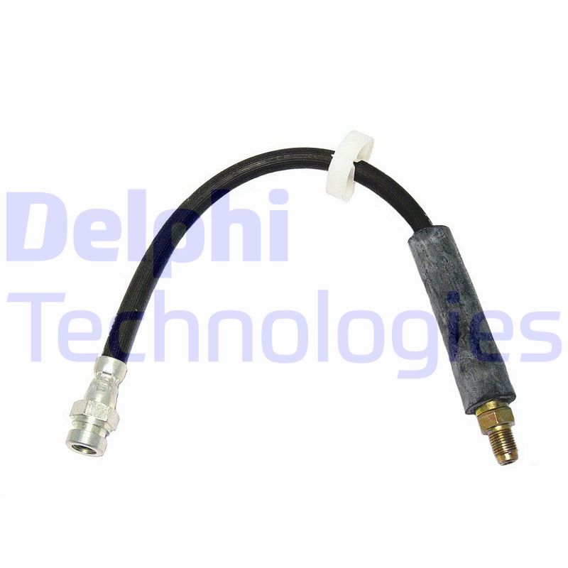 Delphi Diesel Remslang LH0176