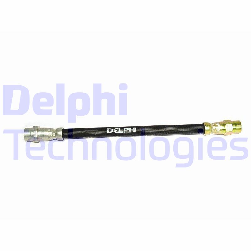 Delphi Diesel Remslang LH0216