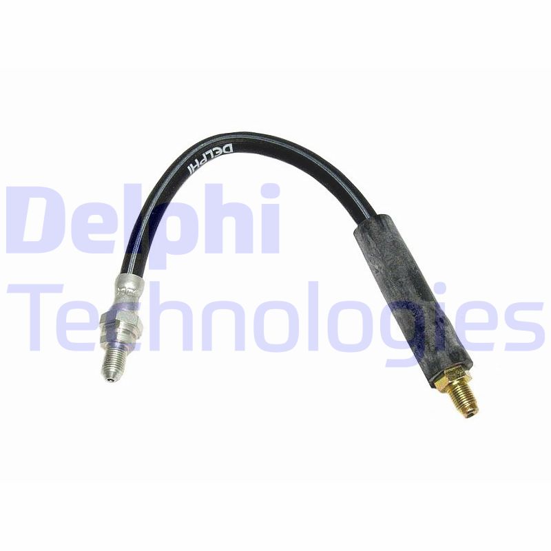 Delphi Diesel Remslang LH0245