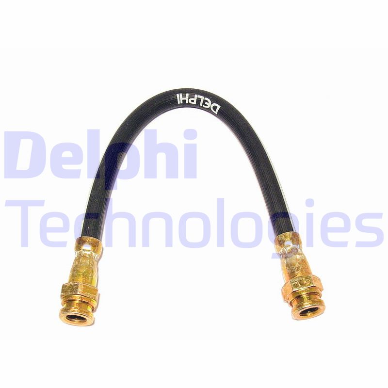 Delphi Diesel Remslang LH0274