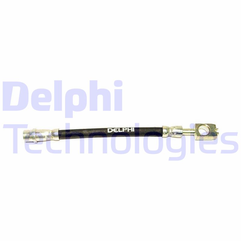 Delphi Diesel Remslang LH0335