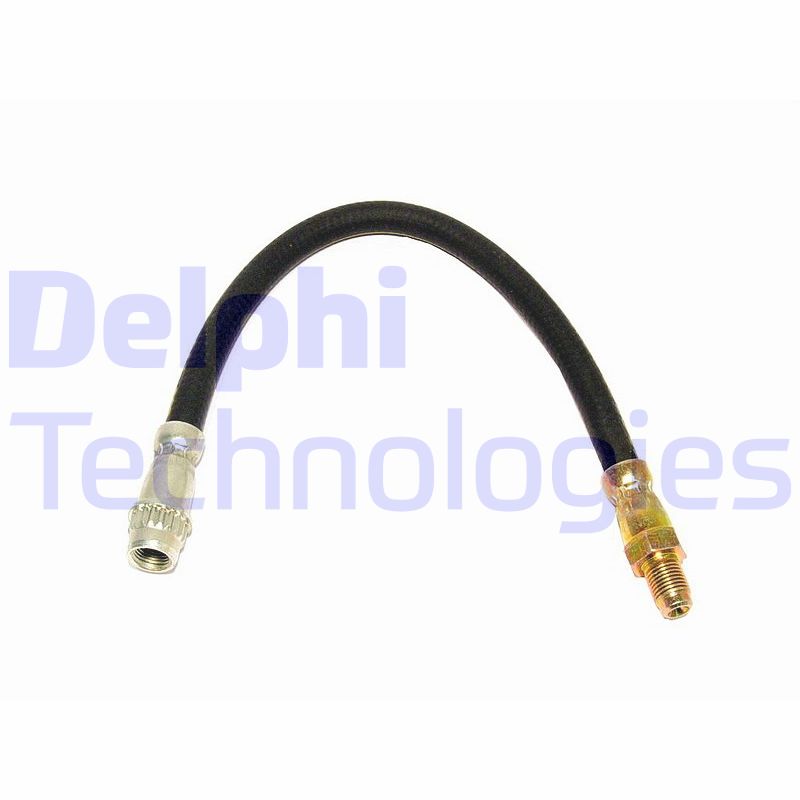 Delphi Diesel Remslang LH0341