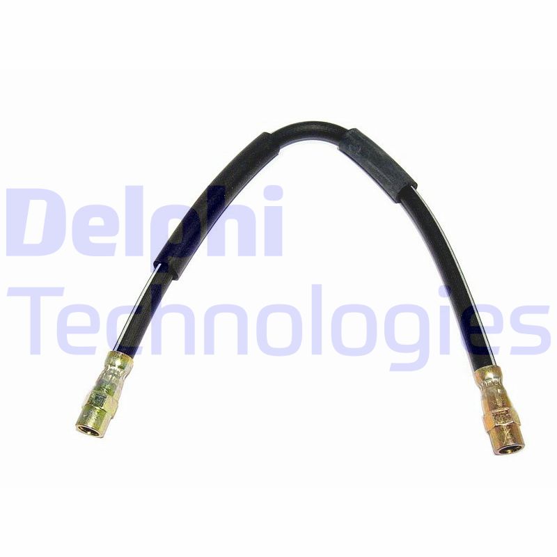 Delphi Diesel Remslang LH0349