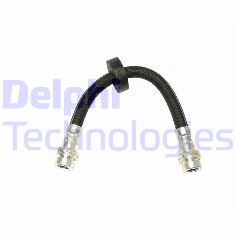 Delphi Diesel Remslang LH0361