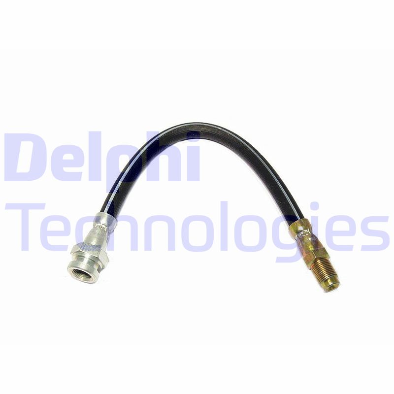 Delphi Diesel Remslang LH0369