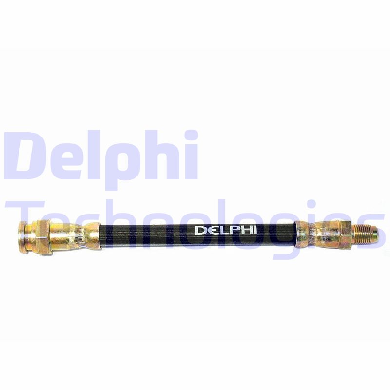 Delphi Diesel Remslang LH0373