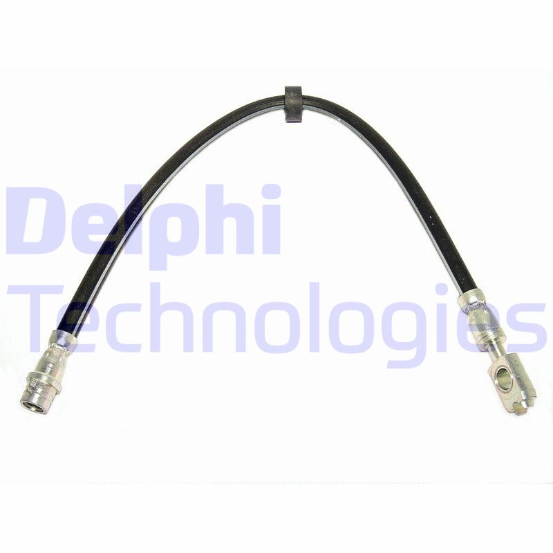 Delphi Diesel Remslang LH0374