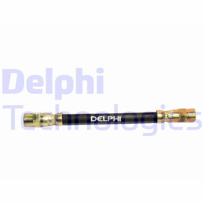 Delphi Diesel Remslang LH0391