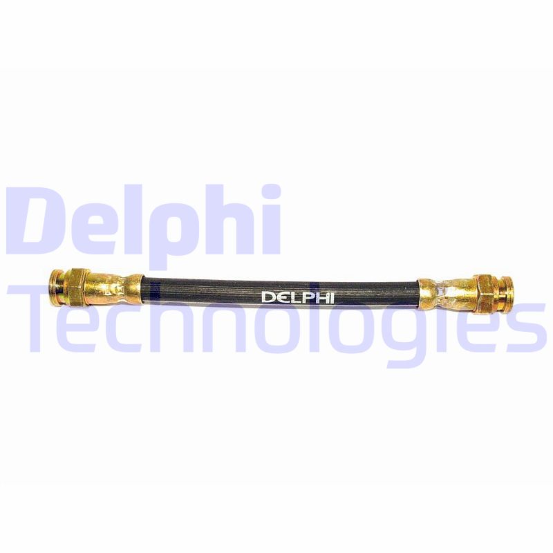 Delphi Diesel Remslang LH0469