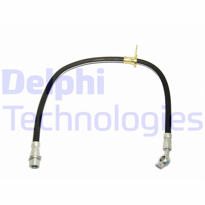 Delphi Diesel Remslang LH0473