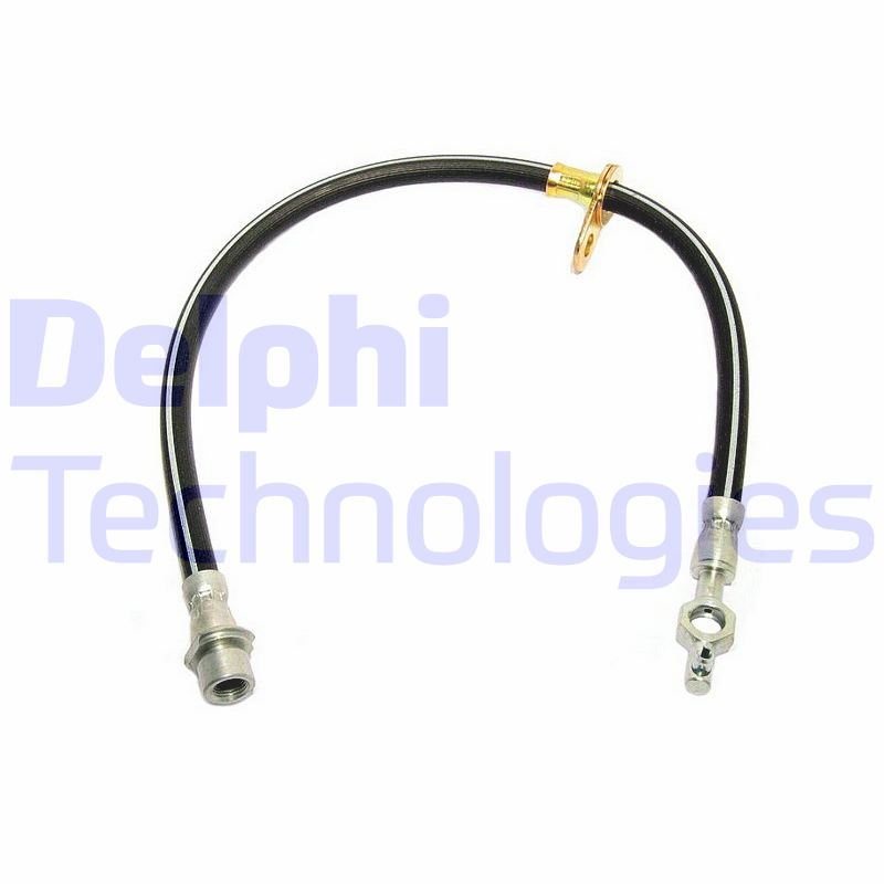 Delphi Diesel Remslang LH0480