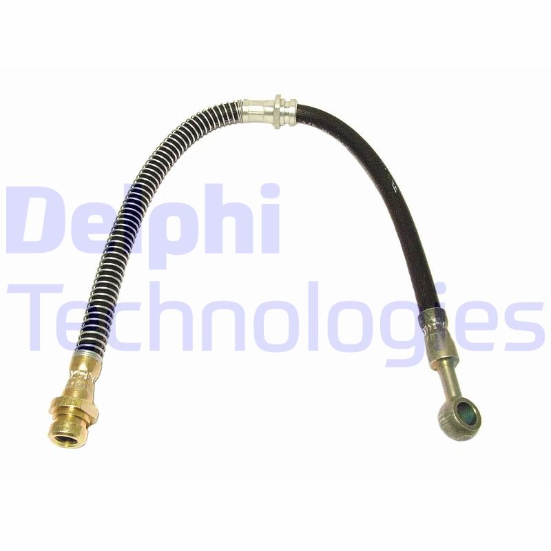 Delphi Diesel Remslang LH0494