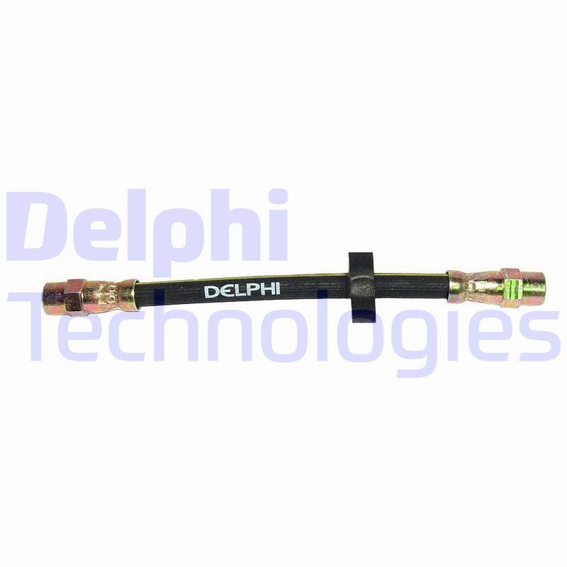 Delphi Diesel Remslang LH1351