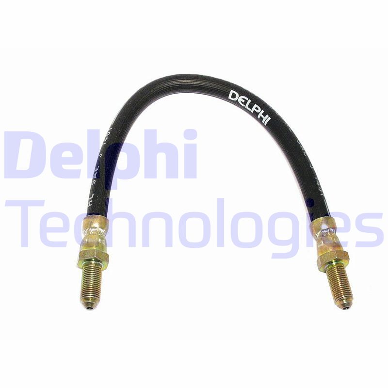 Delphi Diesel Remslang LH1637
