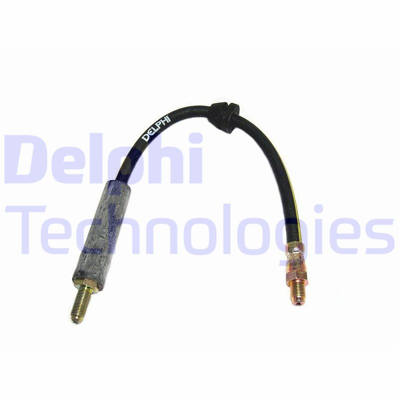 Delphi Diesel Remslang LH2106
