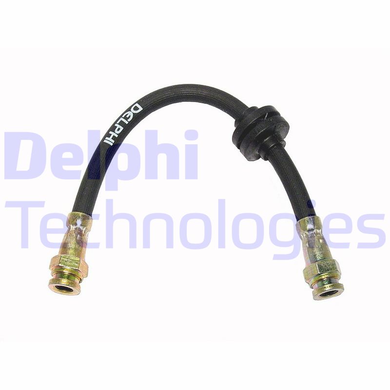 Delphi Diesel Remslang LH3795