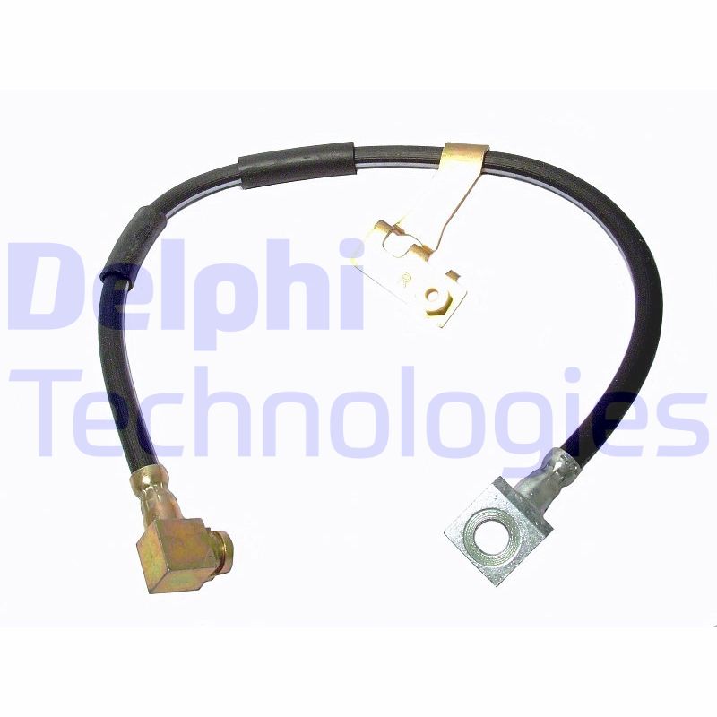 Delphi Diesel Remslang LH6012