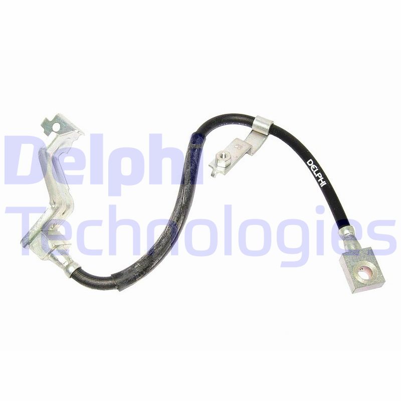 Delphi Diesel Remslang LH6120