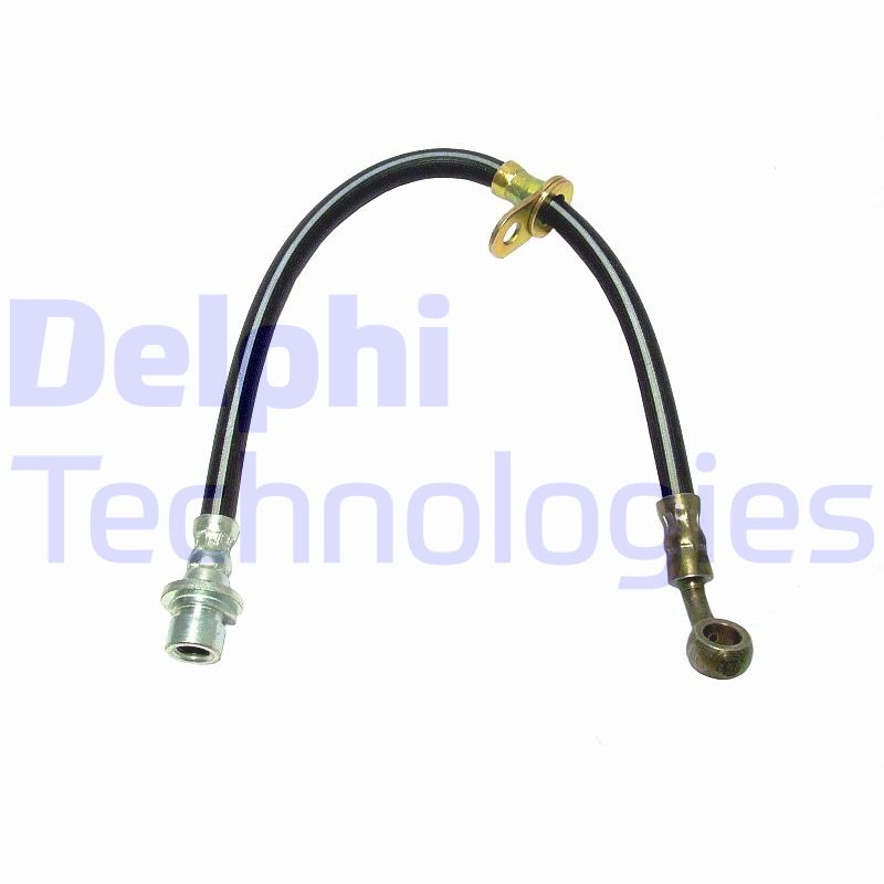 Delphi Diesel Remslang LH6161