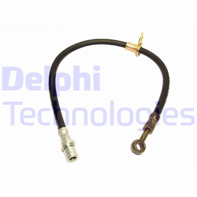 Delphi Diesel Remslang LH6263