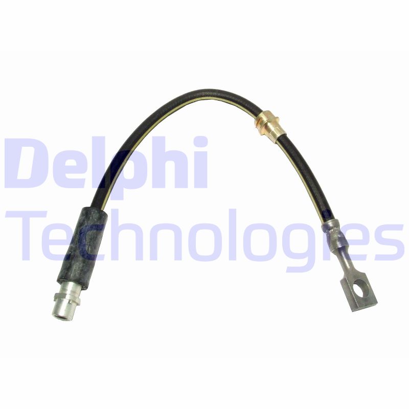 Delphi Diesel Remslang LH6416