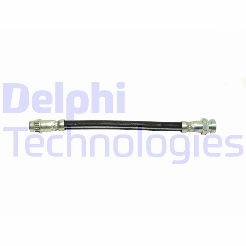 Delphi Diesel Remslang LH6419
