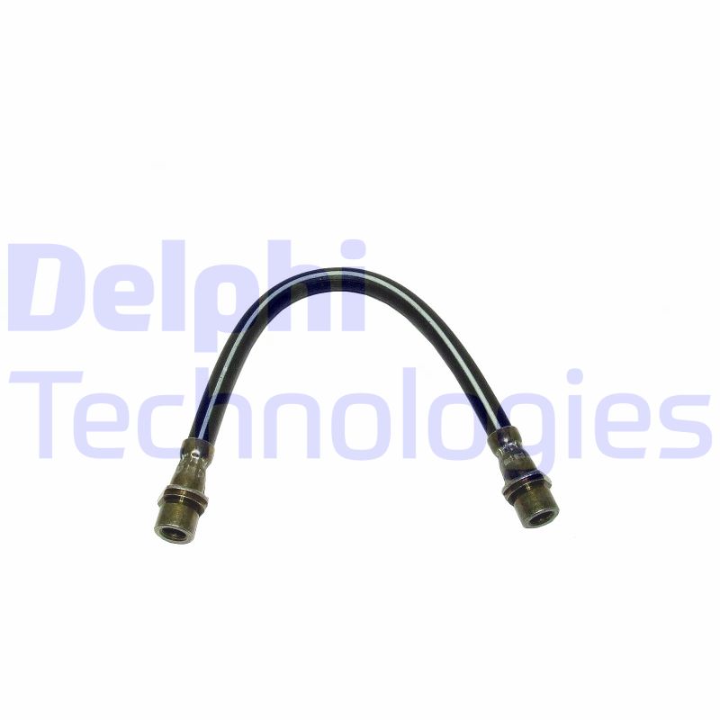 Delphi Diesel Remslang LH6441