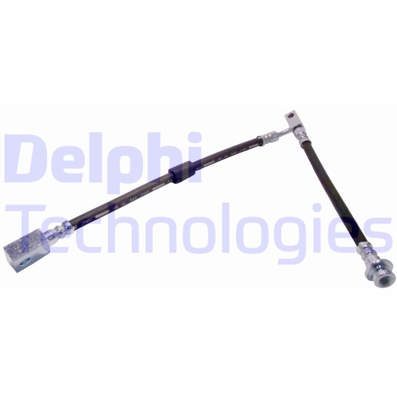 Delphi Diesel Remslang LH6844