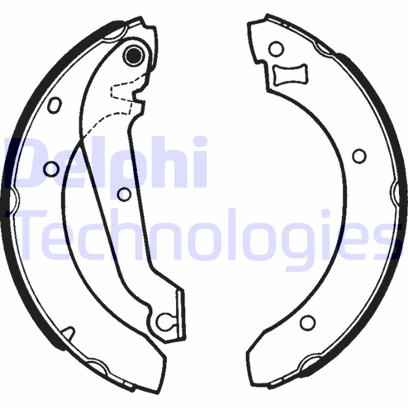 Delphi Diesel Remschoen set LS1287