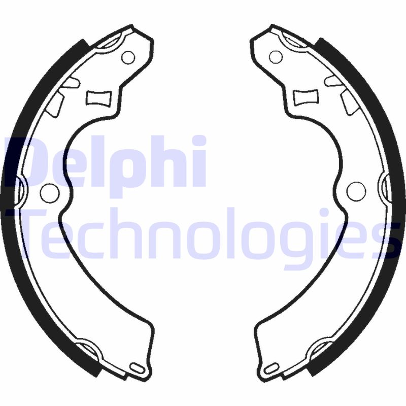 Delphi Diesel Remschoen set LS1331