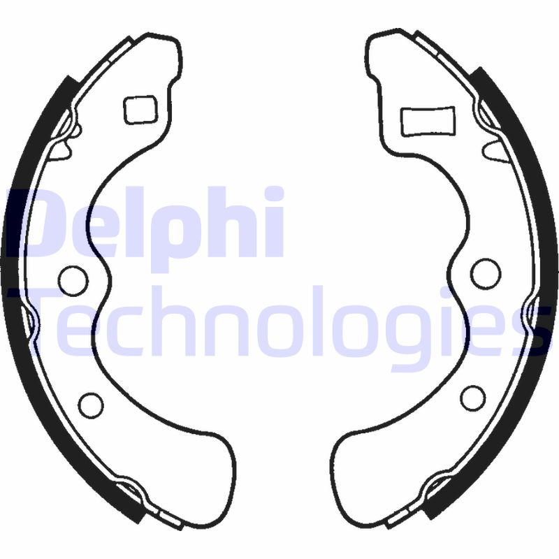 Delphi Diesel Remschoen set LS1351
