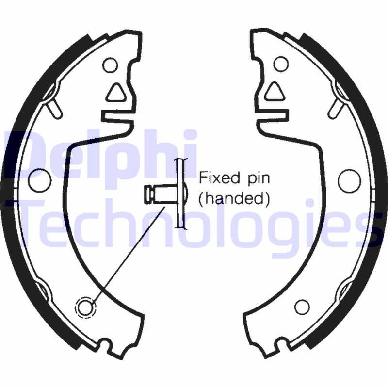 Delphi Diesel Remschoen set LS1438