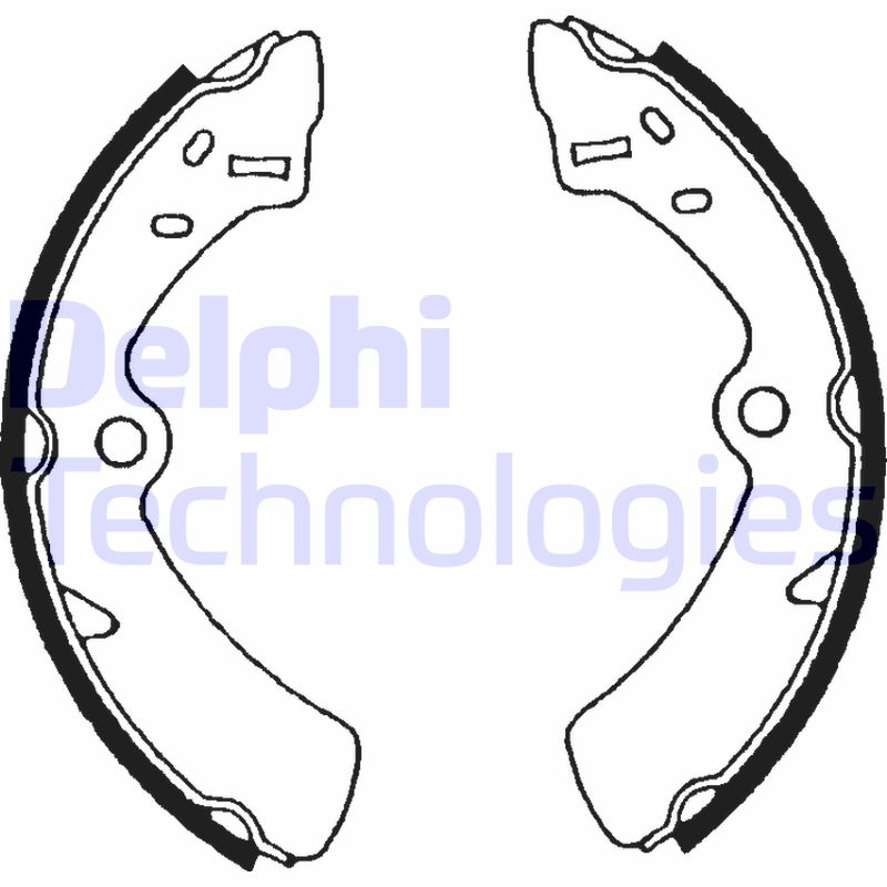 Delphi Diesel Remschoen set LS1576