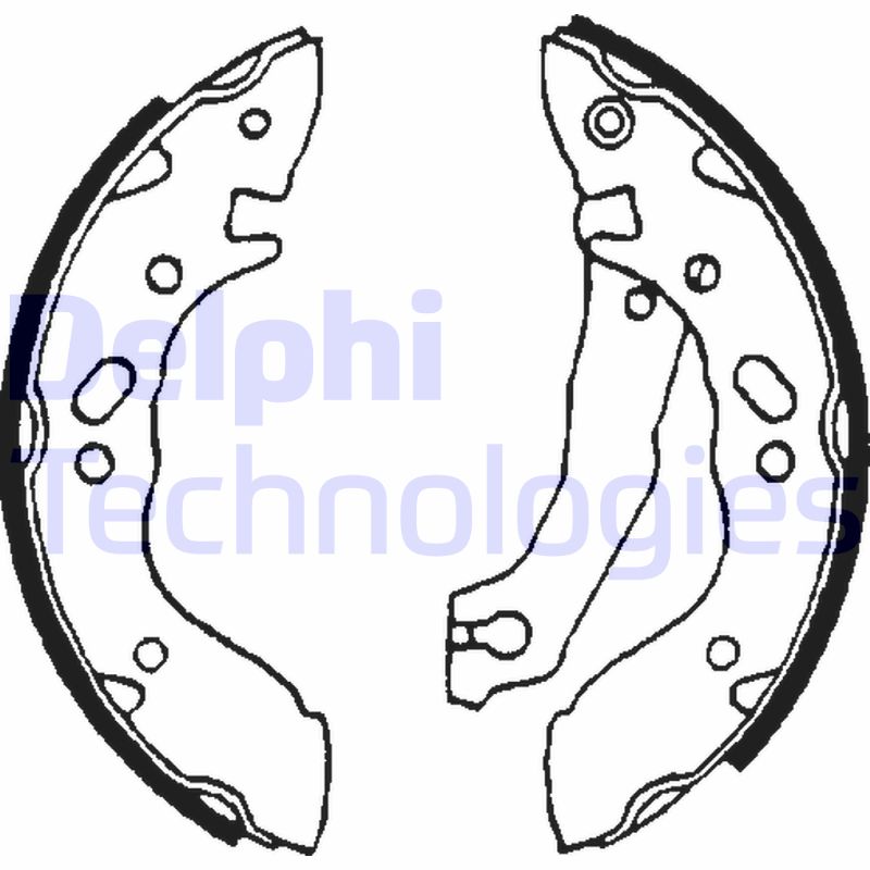Delphi Diesel Remschoen set LS1609