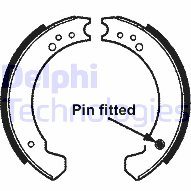 Delphi Diesel Remschoen set LS1695