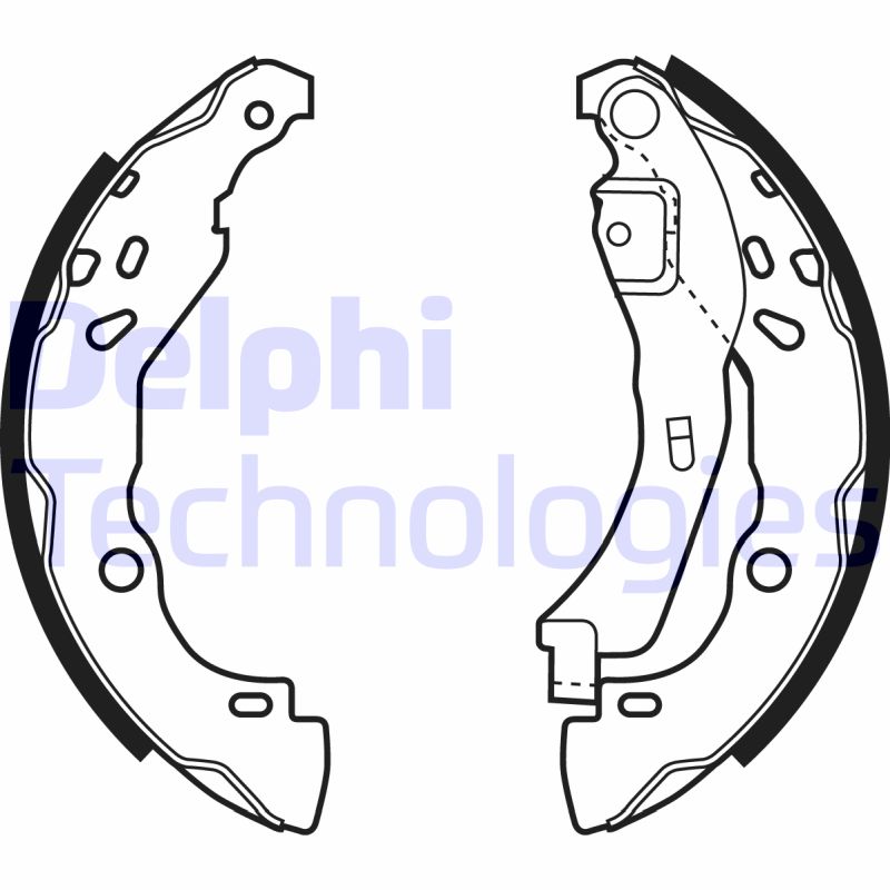 Delphi Diesel Remschoen set LS1929