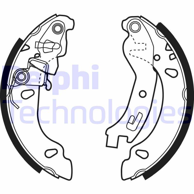 Delphi Diesel Remschoen set LS1970