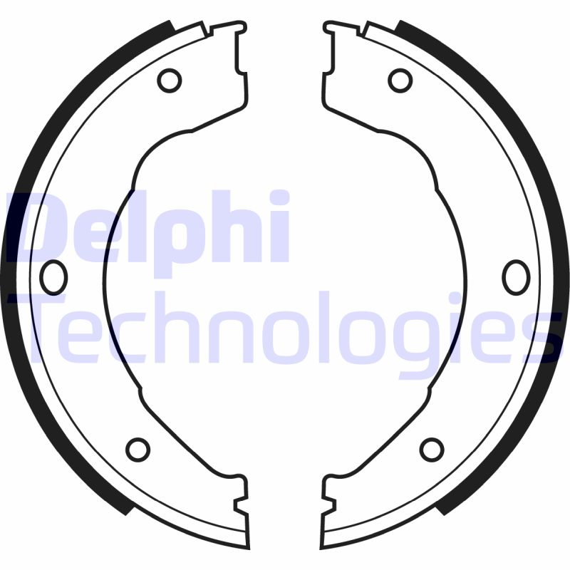 Delphi Diesel Remschoen set LS1982