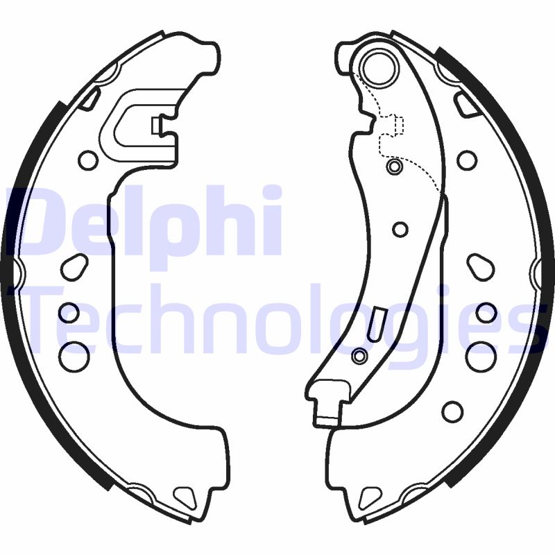 Delphi Diesel Remschoen set LS2109